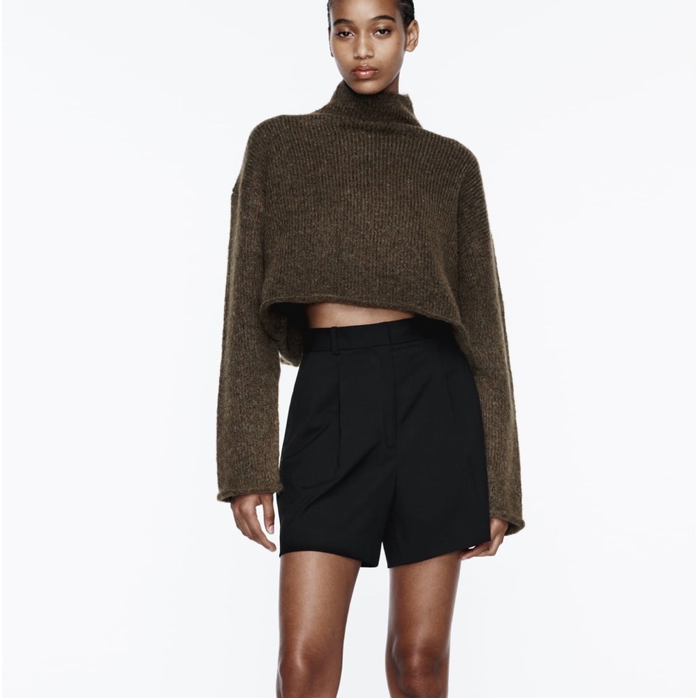 Zara pleated high waisted shorts new